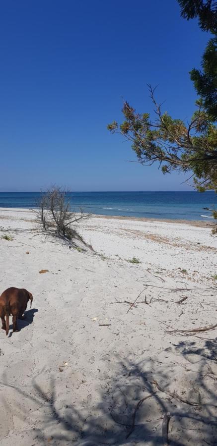 B&B Coco Olbia Luaran gambar